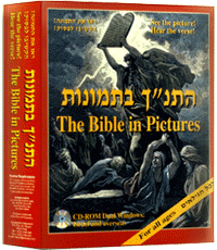 BIBLE IN PICTURES